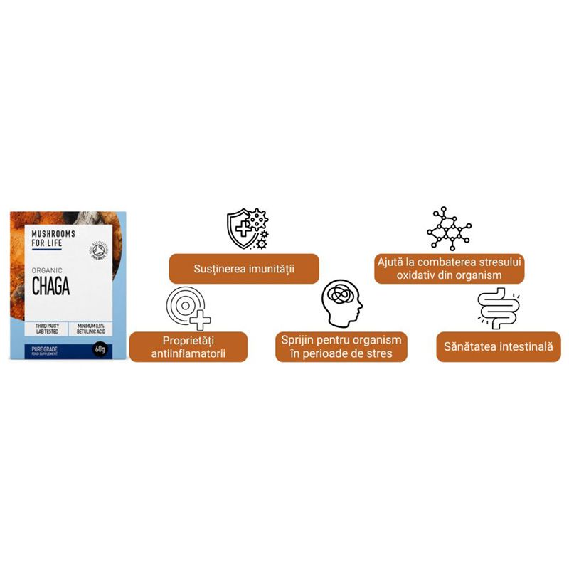 Pudră organică Chaga 1000 mg, cutie albă și albastră, beneficii pentru imunitate și sănătate intestinală.