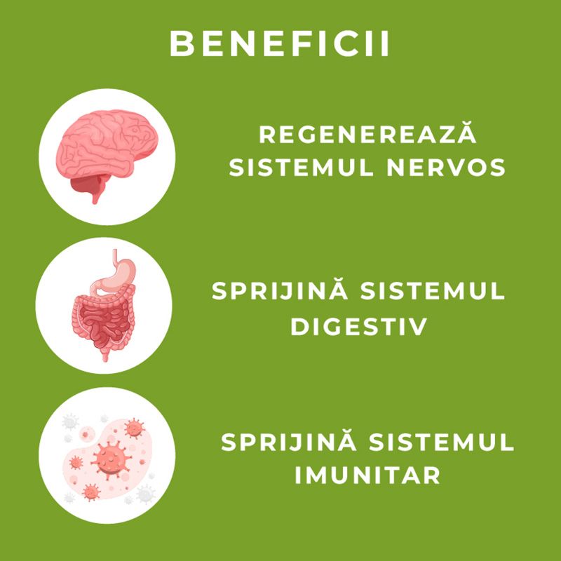 Organic Lions Mane Focus 1000 mg Full Spectrum - Verlin