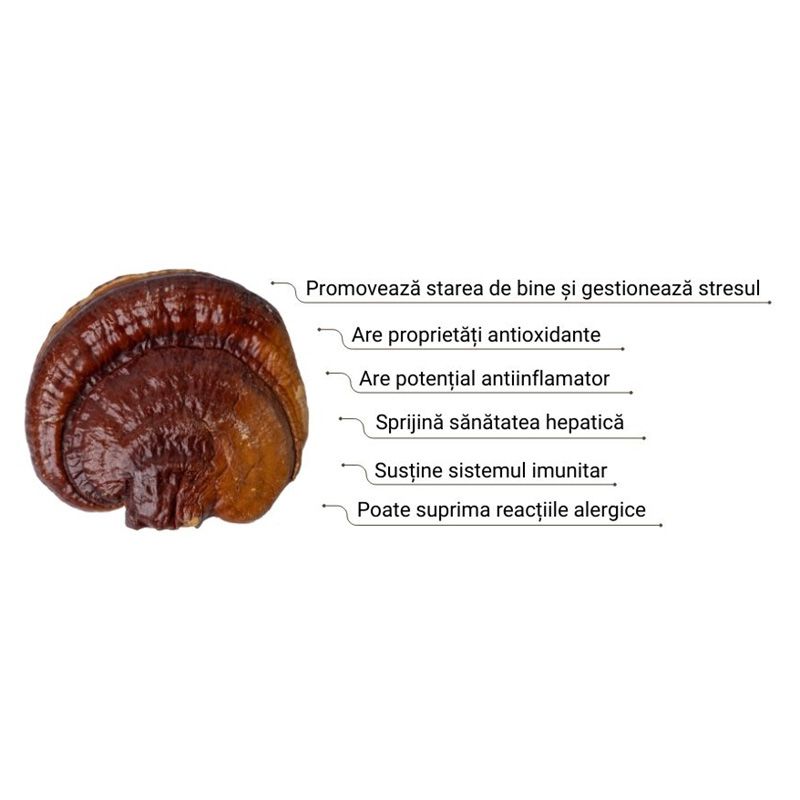 Extract de Reishi 1000 mg, ciupercă tradițională cu beneficii antioxidante și antiinflamatoare, imagine laterală