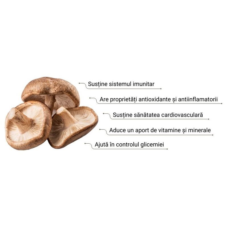 Pudră Extract Shiitake 1000 mg, efecte antioxidante, imunitate, sănătate cardiovasculară, supliment natural.