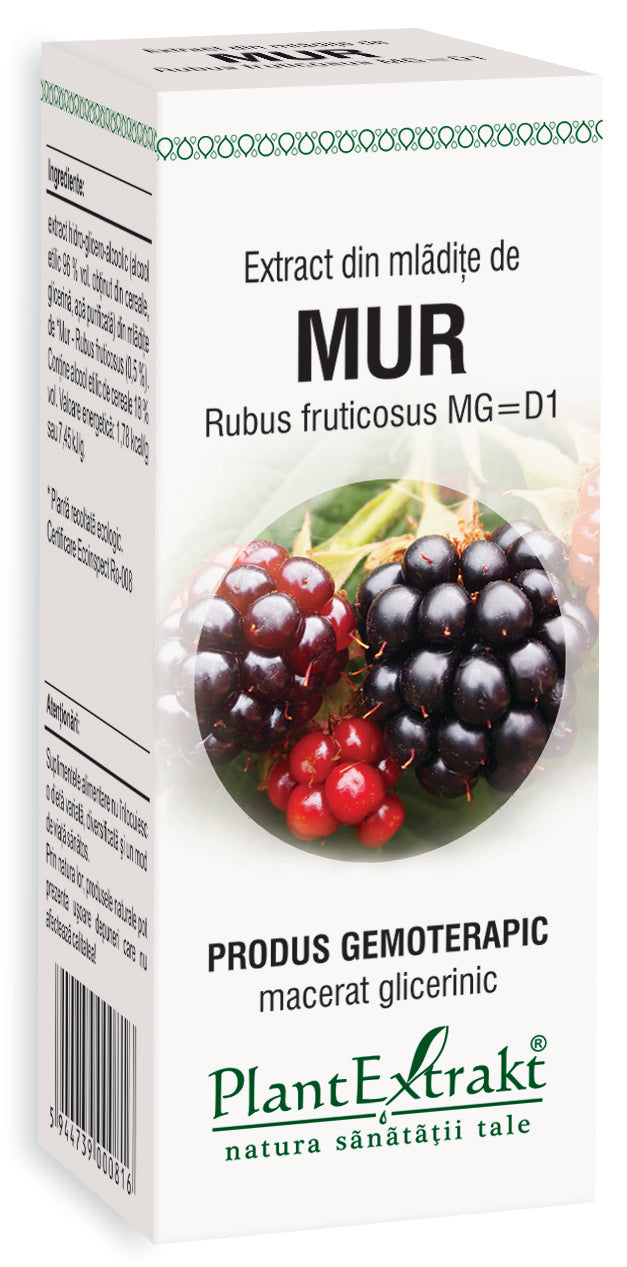 Extract din mlădițe mur 50 ml plantextrakt - Verlin