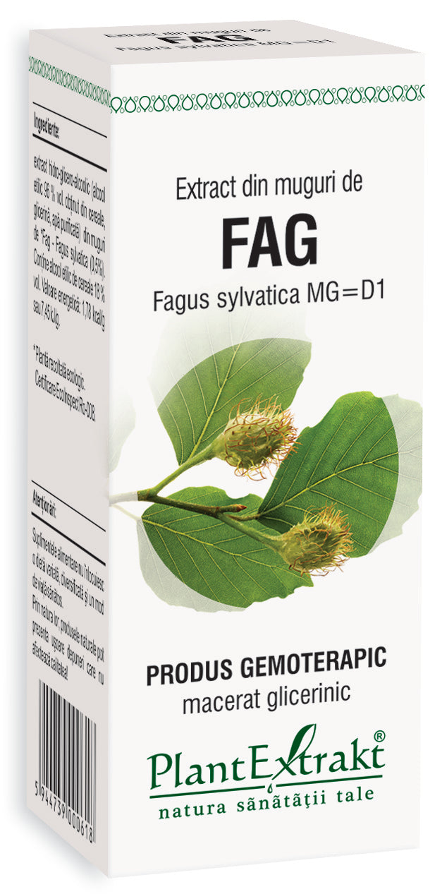 Extract din muguri fag 50 ml plantextrakt - Verlin