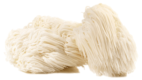 Hericium pudră bio 125g, ecologic CRUD SI SANATOS, vedere laterală, fără lactoză, ciuperci medicinale.