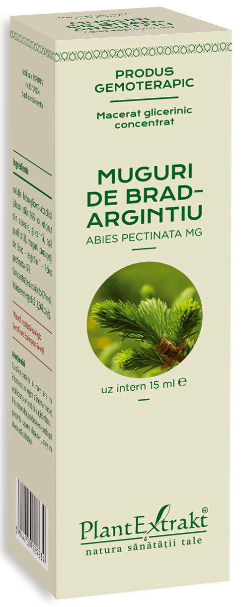Muguri brad argintiu 15 ml plantextrakt - Verlin