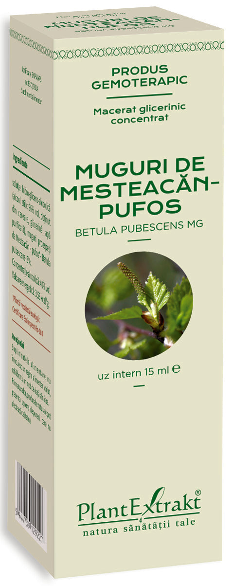 Muguri mesteacan pufos 15 ml plantextrakt - Verlin