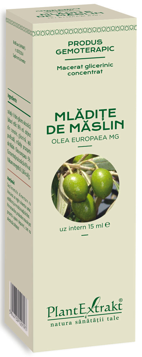  Mlădițe de măslin, 15 ml, plantextrakt