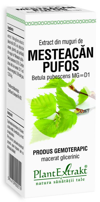 Extract din muguri de mesteacăn pufos, 50 ml, cutie albă cu ilustrație frunze verzi, Plantextrakt.