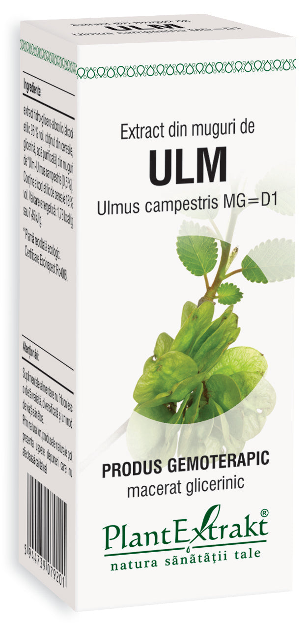 Extract din muguri de ulm, 50 ml, cutie albă cu text negru și grafică verde, Plantextrakt.