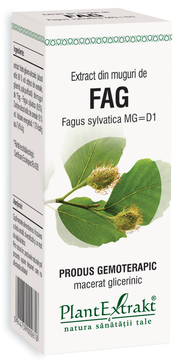 Extract din muguri de fag, 50 ml, plantextrakt 1