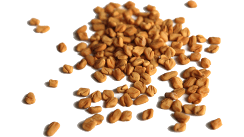 Semințe ecologice de schinduf, culoare maronie, 125g, crud și sănătos, vedere laterală.