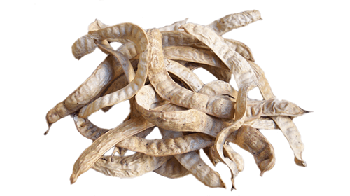 Păstăi uscate de mesquite bio, culoare bej, 250g.