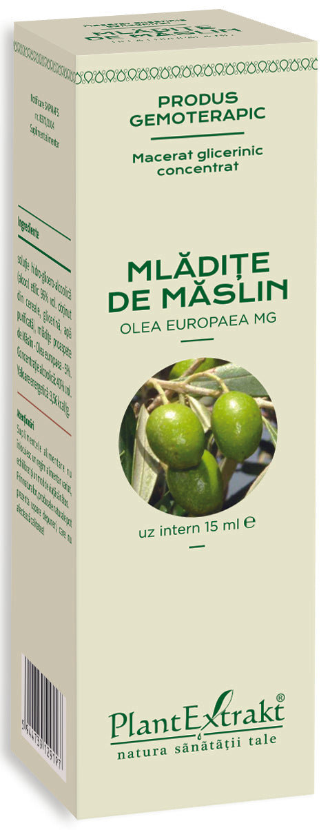 Mlădițe de Măslin PlantExtrakt, macerat glicerinic 15 ml, ambalaj bej cu imagine măsline verzi.
