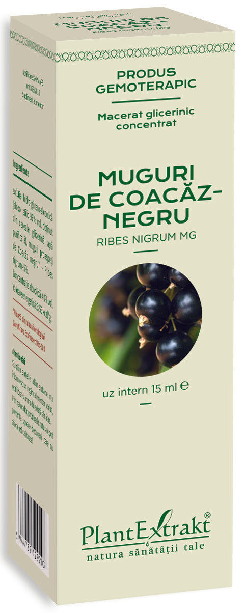 Sticluță 15 ml muguri de coacăz negru plantextrakt, etichetă bej cu text verde.