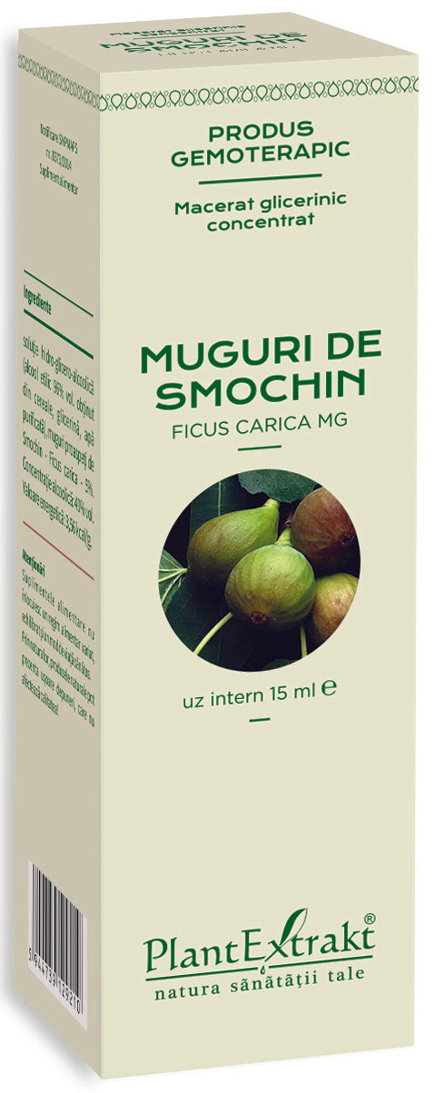 Cutie Muguri de smochin 15 ml PlantExtrakt, design bej și verde, imagine smochine.