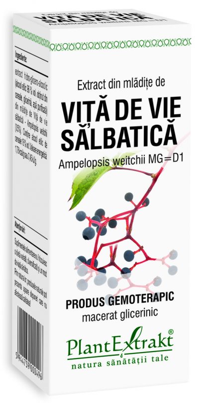 Extract din mladite de vita de vie salbatica, 50 ml, plantextrakt 1